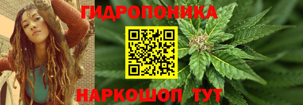 Бошки марихуана планчик Гатчина